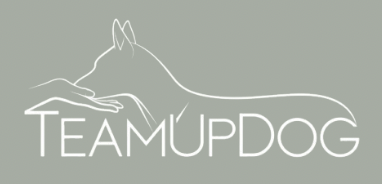 TeamUpDog